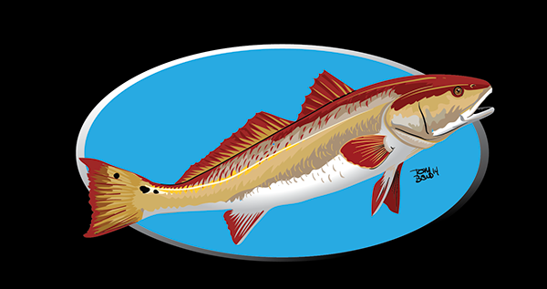 Redfish Illustration on Behance