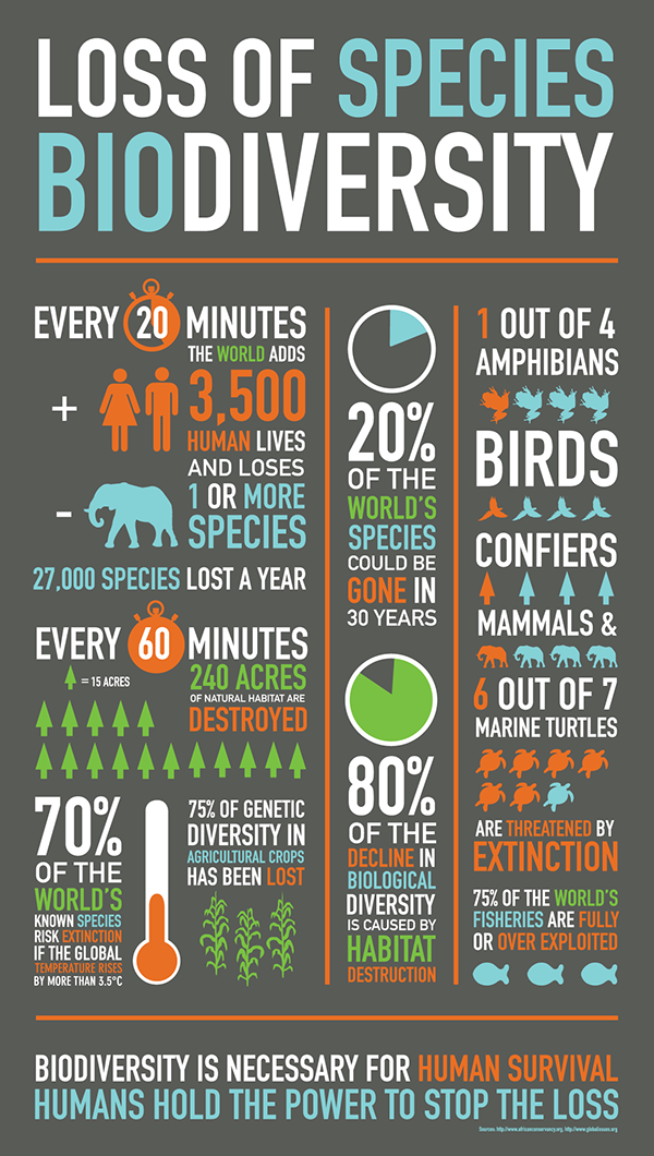 how to prevent biodiversity loss essay
