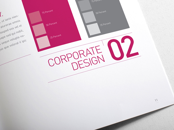 Corporate Design Manual Pdf