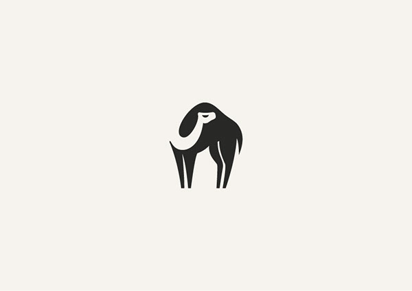 George Bokhua - Création Logo Camel