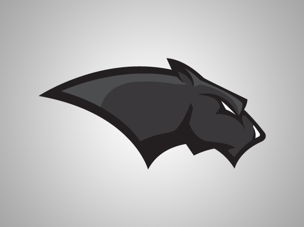 Pine View Panthers On Behance
