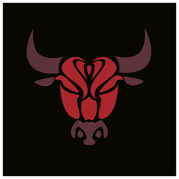 Chicago Bulls X Derrick Rose concept on Behance