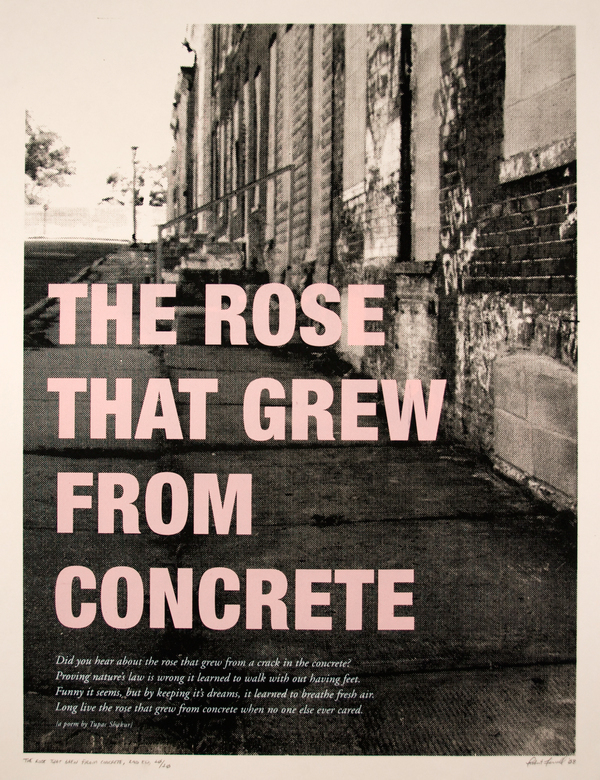 The Rose That Grew From Concrete on Behance