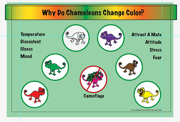 Why Do Chameleons Change Color On Aiga Member Gallery Coloring Wallpapers Download Free Images Wallpaper [coloring365.blogspot.com]