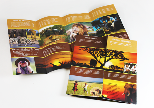 safari catalogue design